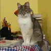 Отзыв от Маргарита Юдина